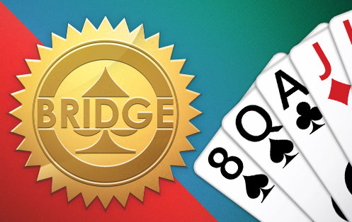 Bridge Bridge